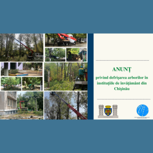 Anunț privind defrișarea arborilor în instituțiile de învățământ din Chișinău